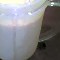 papaya smoothie maleisie